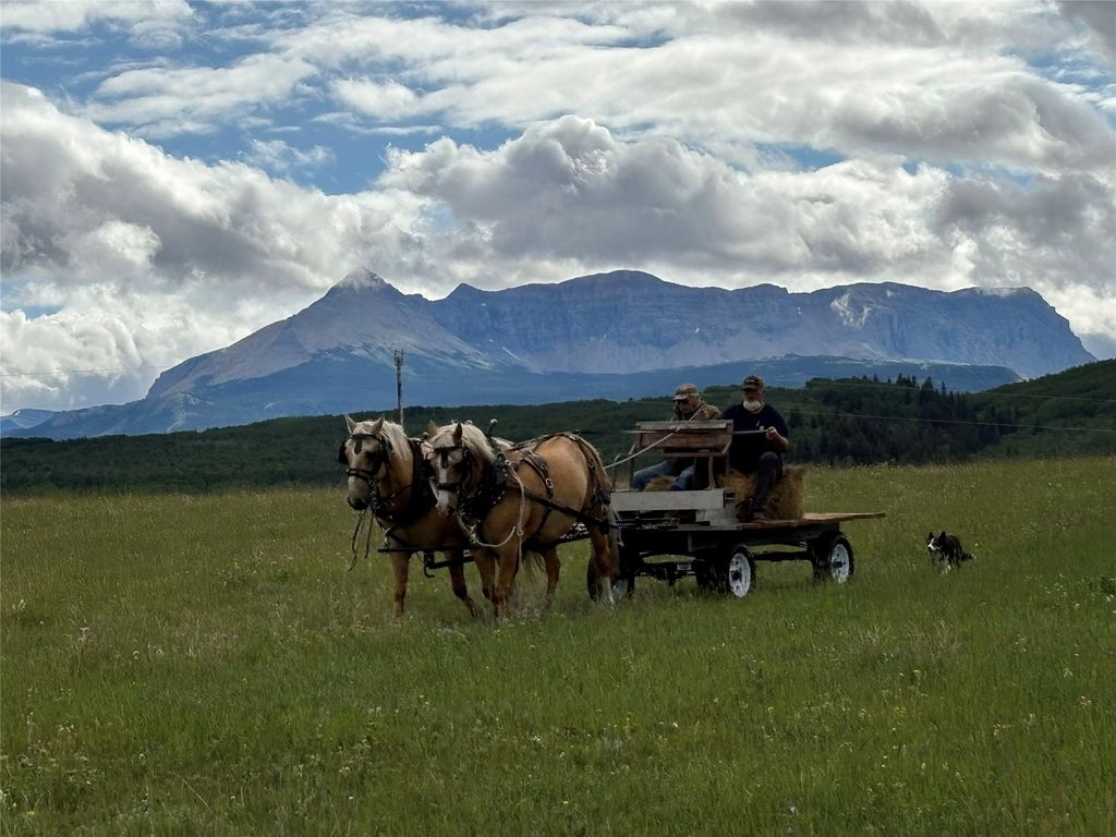 1 Boulder Drive, Babb, MT 59411