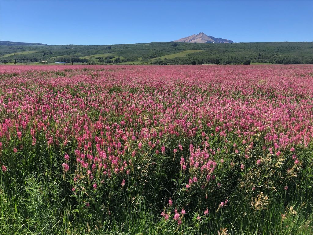 1 Boulder Drive, Babb, MT 59411 photo 14
