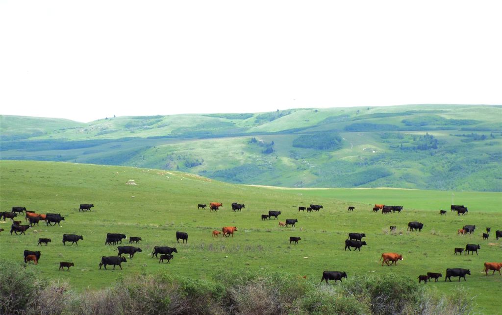 1 Boulder Drive, Babb, MT 59411 photo 21