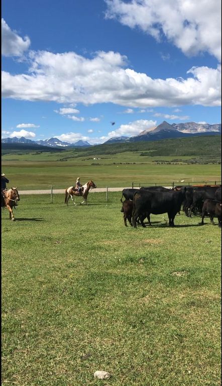 1 Boulder Drive, Babb, MT 59411 photo 22