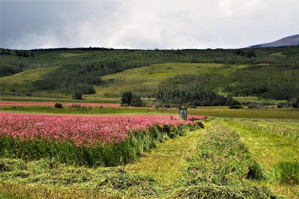 1 Boulder Drive, Babb, MT 59411 photo 23