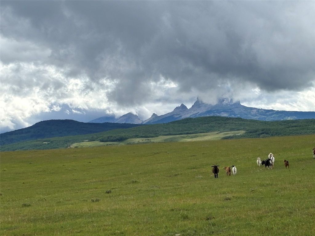 1 Boulder Drive, Babb, MT 59411 photo 3