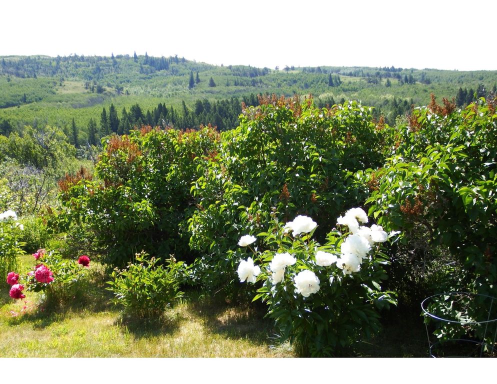 1 Boulder Drive, Babb, MT 59411 photo 31