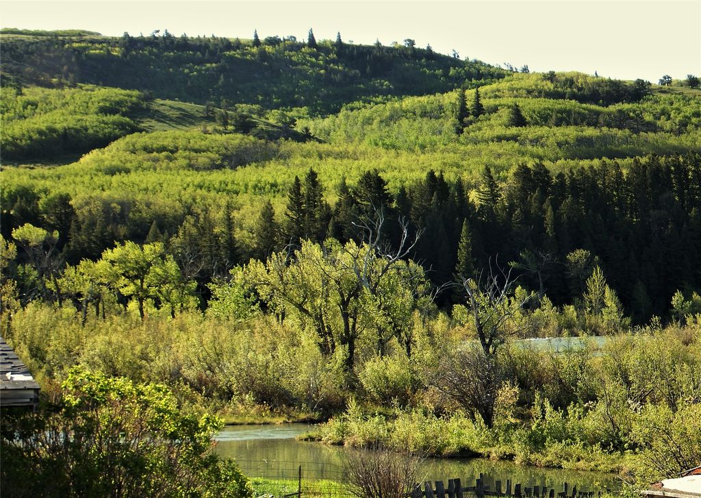 1 Boulder Drive, Babb, MT 59411 photo 33