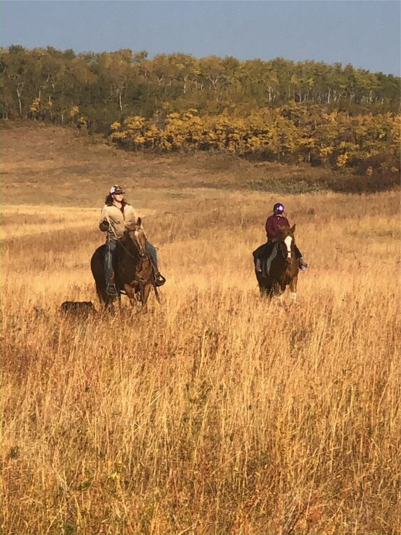 1 Boulder Drive, Babb, MT 59411 photo 35