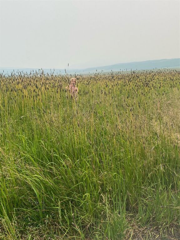 1 Boulder Drive, Babb, MT 59411 photo 36