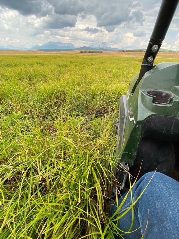1 Boulder Drive, Babb, MT 59411 photo 40