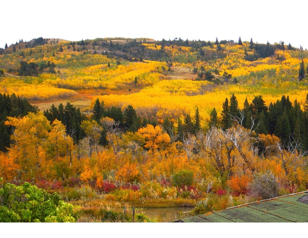 1 Boulder Drive, Babb, MT 59411 photo 48