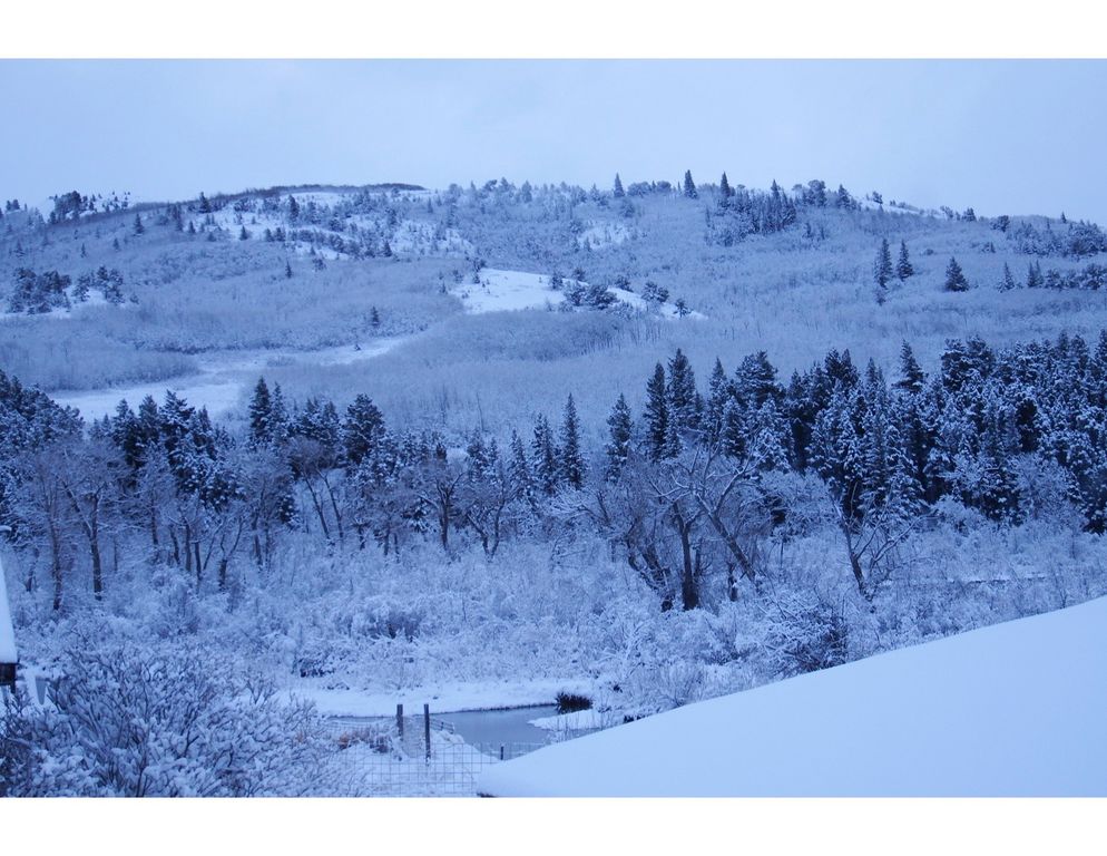 1 Boulder Drive, Babb, MT 59411 photo 54