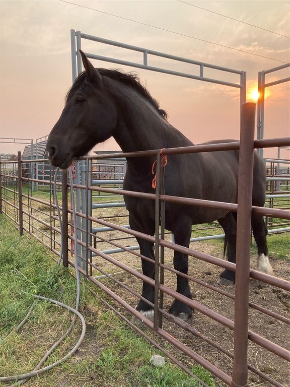 1 Boulder Drive, Babb, MT 59411 photo 75