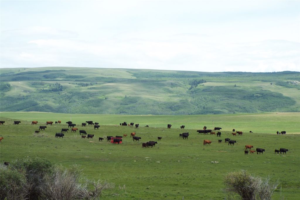 1 Boulder Drive, Babb, MT 59411 photo 79