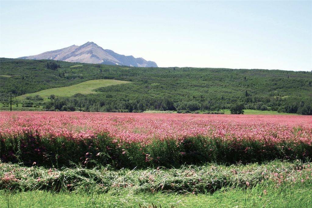 1 Boulder Drive, Babb, MT 59411 photo 8