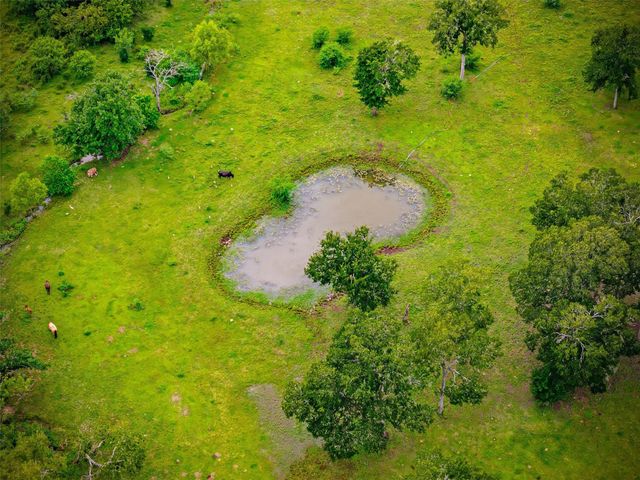 3667 Clemons Switch Road, Brookshire, TX 77423