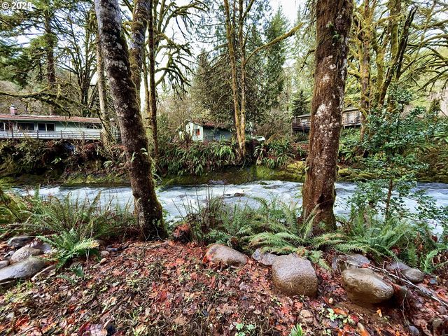 N New Bridge CT, Otis, OR 97368