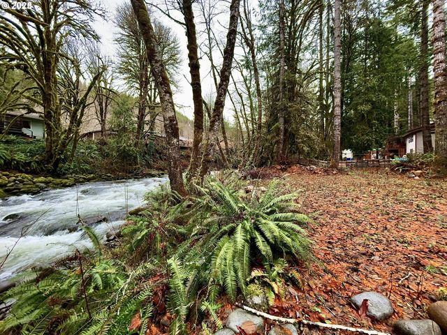 N New Bridge CT, Otis, OR 97368