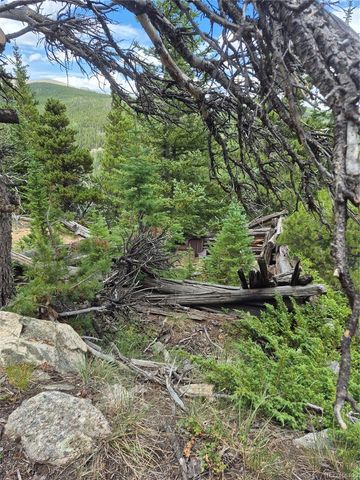 1900 County Road 128J, Nederland, CO 80466