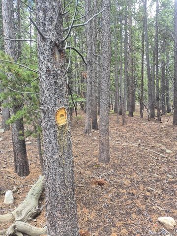 1900 County Road 128J, Nederland, CO 80466