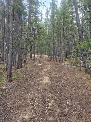 1900 County Road 128J, Nederland, CO 80466