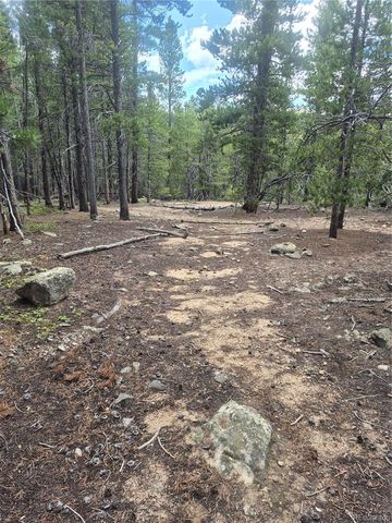 1900 County Road 128J, Nederland, CO 80466