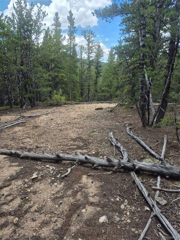 1900 County Road 128J, Nederland, CO 80466