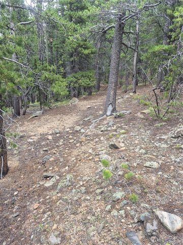 1900 County Road 128J, Nederland, CO 80466