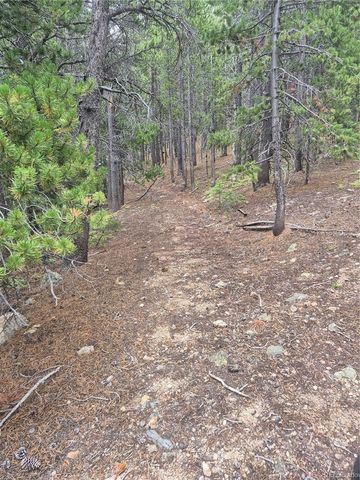 1900 County Road 128J, Nederland, CO 80466