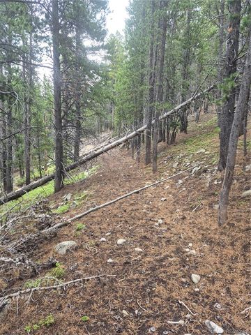1900 County Road 128J, Nederland, CO 80466