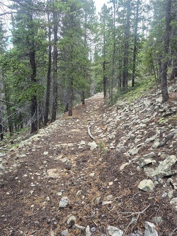1900 County Road 128J, Nederland, CO 80466