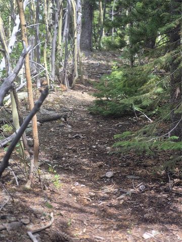 1900 County Road 128J, Nederland, CO 80466