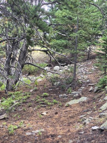 1900 County Road 128J, Nederland, CO 80466