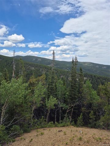 1900 County Road 128J, Nederland, CO 80466
