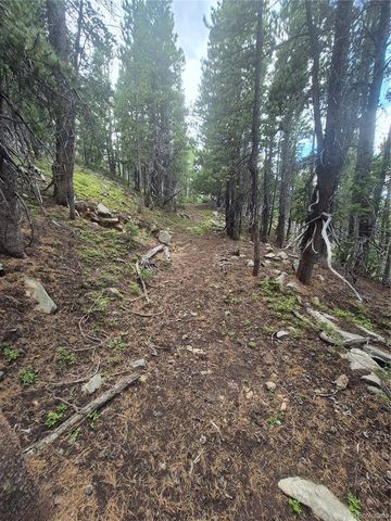 1900 County Road 128J, Nederland, CO 80466