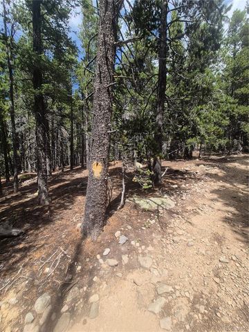 1900 County Road 128J, Nederland, CO 80466