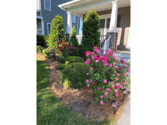 181 Sommerfield Avenue, South Burlington, VT 05403