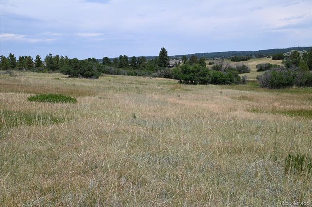 1579 Deerpath Road, Franktown, CO 80116