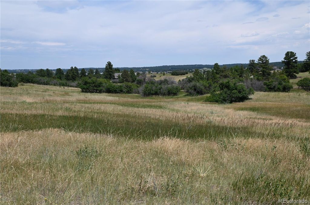 1579 Deerpath Road, Franktown, CO 80116