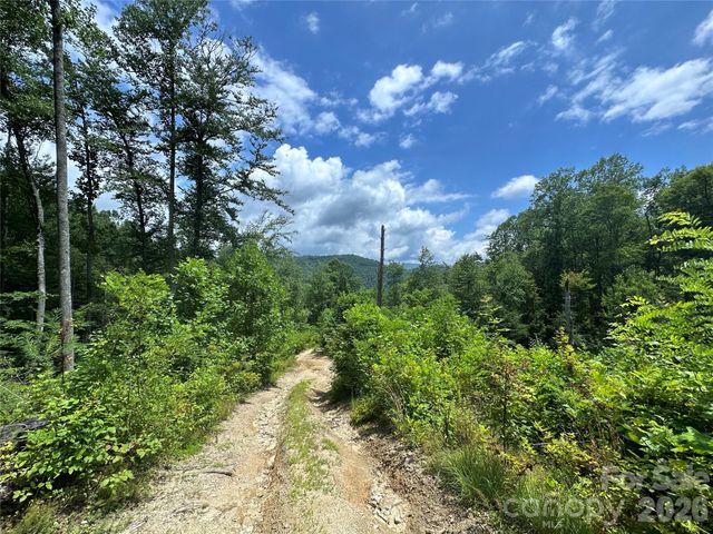 3606 NC Highway 194 None S, Sugar Grove, NC 28679