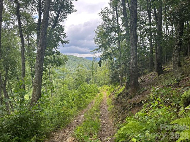 3606 NC Highway 194 None S, Sugar Grove, NC 28679
