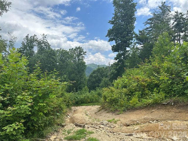 3606 NC Highway 194 None S, Sugar Grove, NC 28679