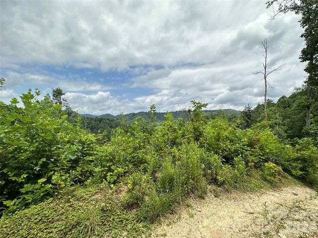 3606 NC Highway 194 None S, Sugar Grove, NC 28679