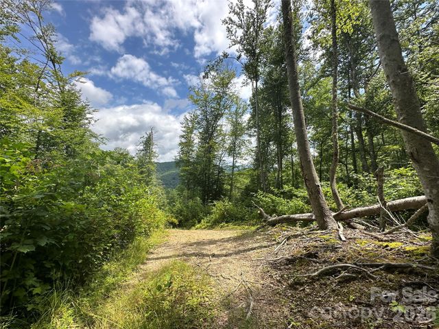3606 NC Highway 194 None S, Sugar Grove, NC 28679