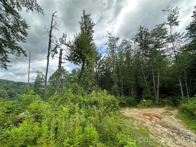 3606 NC Highway 194 None S, Sugar Grove, NC 28679