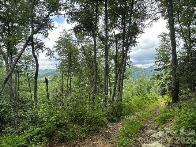 3606 NC Highway 194 None S, Sugar Grove, NC 28679