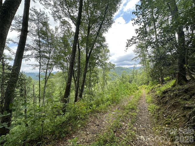 3606 NC Highway 194 None S, Sugar Grove, NC 28679