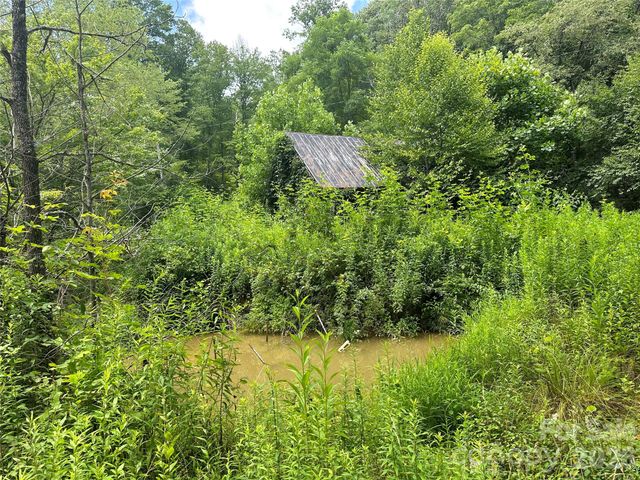 3606 NC Highway 194 None S, Sugar Grove, NC 28679