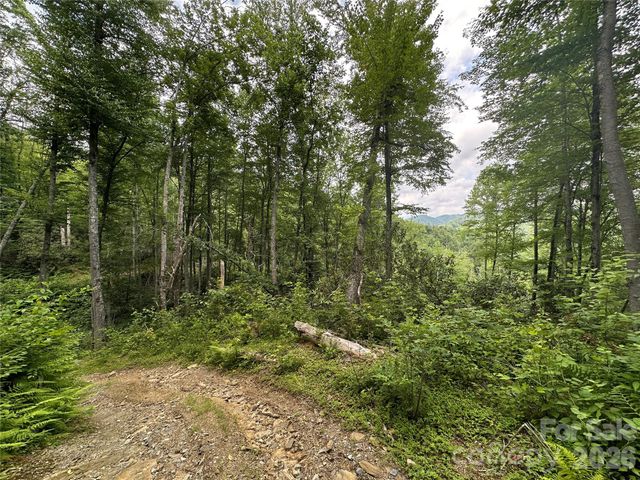 3606 NC Highway 194 None S, Sugar Grove, NC 28679