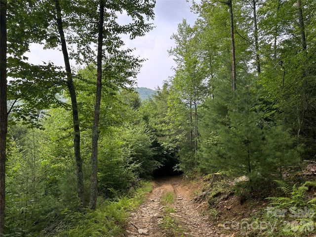 3606 NC Highway 194 None S, Sugar Grove, NC 28679