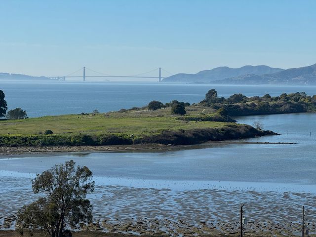 555 Pierce St 735, Albany, CA 94706