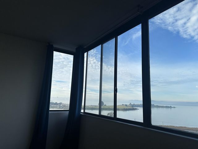 555 Pierce St 735, Albany, CA 94706