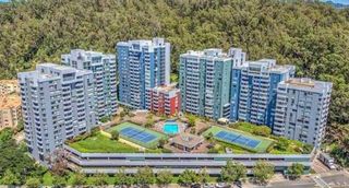 555 Pierce St 735, Albany, CA 94706